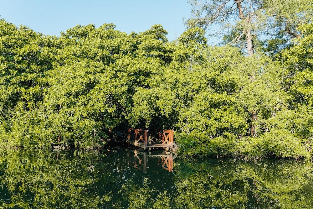 Jetwing Kurulubedda - Adults Only Villa Гале Екстериор снимка